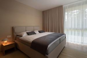 a bedroom with a large bed and a window at DaSus Luxury Tále in Tale