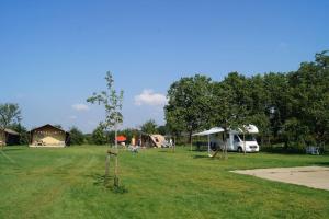 Příroda nedaleko luxury tent