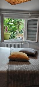 a bed with two pillows in front of a window at Chambre indépendante chez l'habitant avec salle de bain privée in Alençon