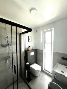 ein Badezimmer mit Toilette, Dusche und Waschbecken in der Unterkunft Ferienhaus Flora in Altefähr