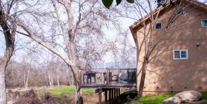 Sequoia River Front Cabins外面的花园