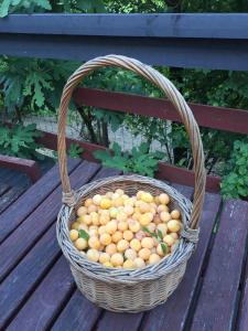 a basket of fruit sitting on a wooden bench at Studio Cotta, Salara farmhouse in Koper +20 photos