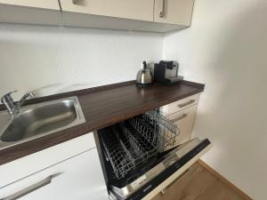 a kitchen counter with a sink and a dishwasher at Helle, moderne Wohnung im Grünen in Kürten