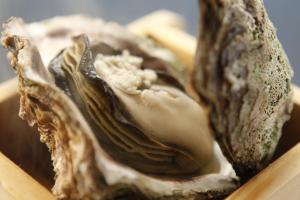 a shell of a oyster sitting on a wooden table at 間人温泉 炭平 in Kyotango
