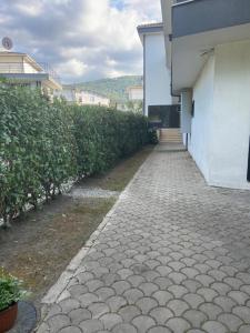 Billede fra billedgalleriet på Gölyolu Daire Mavi i Sapanca