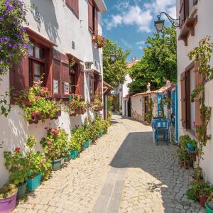 an alley with potted plants on the side of buildings at Kairos Hotel in Siğacık