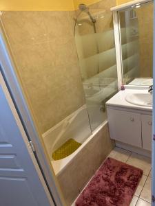 a bathroom with a shower and a sink at Chambre meublée cuisine à 20 minutes de Disneyland in Champs-Sur-Marne