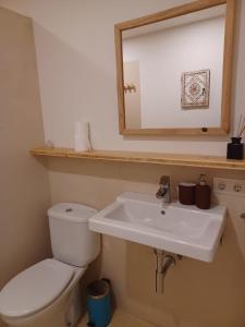 a bathroom with a toilet and a sink and a mirror at Travertí de Banyoles in Banyoles