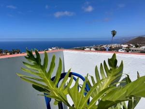 Φωτογραφία από το άλμπουμ του The Zarzamora Canary Little Home σε Los Realejos