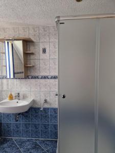 a bathroom with a sink and a shower door at charmantes Ferienhaus ruhig gelegen für 6 Personen in Welzin