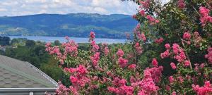 a bunch of pink flowers in front of a house at family villas sapanca in Sapanca