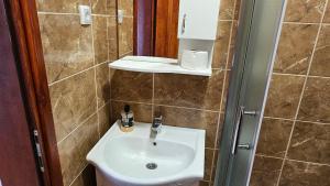 A bathroom at Apartmani Maksimović