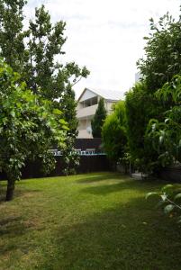 a yard with trees and a house in the background at Villa Aragvi in Mtskheta