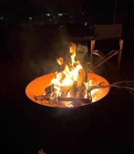 Gallery image of Queen Safari Tent 10 in Nelly Bay