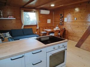 a kitchen and living room with a couch and a table at Chalet Panorama in Občine