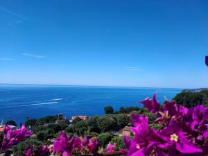 a view from the top of a hill with purple flowers at Villa Azur Cap d'Ail in Cap d'Ail
