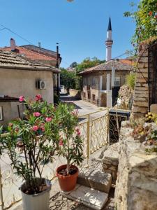Un balcón con dos plantas en macetas y una mezquita. en House Vesela, en Balchik