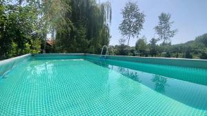 Πισίνα στο ή κοντά στο Casa Veche +45 φωτογραφίες