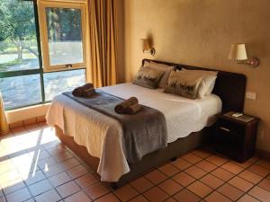 Afbeelding uit fotogalerij van Ekuthuleni River Front Chalets Hoedspruit in Hoedspruit