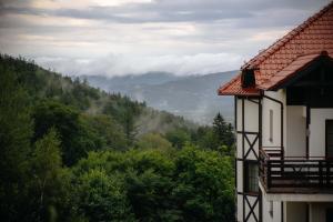a house with a view of a mountain at Hotel Dziki Potok Karpacz in Karpacz