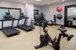 a gym with treadmills and exercise bikes in a room at Embassy Suites Saint Louis - Downtown in Saint Louis