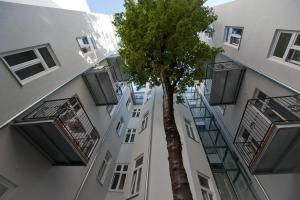 Okolí apartmánu