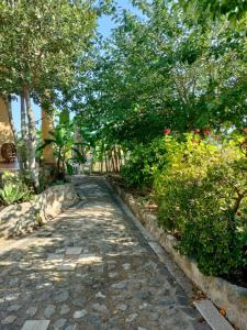 Fotografie z fotogalerie ubytování A Turri Rooms and Restaurant v destinaci Capo Vaticano