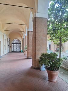an empty hallway of a building with two potted plants at Monastero San Lodovico - Orvieto in Orvieto