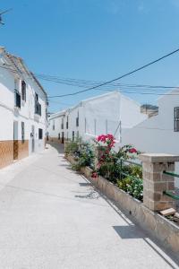 Apartamento El EnTorno في Valle de Abdalagís: شارع فاضي فيه مباني بيضاء وزهور