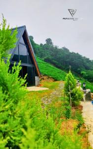 a house on the side of a hill with trees at paradise valley bungalow in Ardeşen