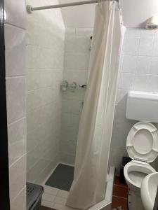 a small bathroom with a shower with a toilet at Apartman Djokic 1 in Požarevac