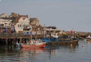 Loodusmaastik puhkemaja lähedal