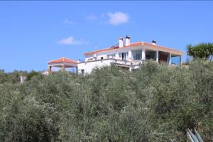 Zdjęcie z galerii obiektu The Olive Grove w mieście Algodonales