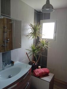ein Badezimmer mit einem Waschbecken und zwei Topfpflanzen in der Unterkunft Charmilles a 2km plage in Flocques