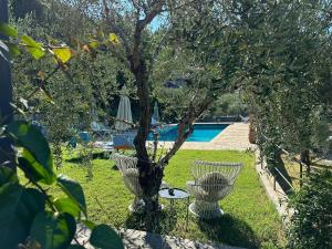 a garden with a tree and a swimming pool at Il Gelso in San Bartolomeo