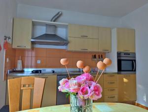 Kuchyň nebo kuchyňský kout v ubytování Apartment Luna