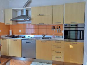 Kuchyň nebo kuchyňský kout v ubytování Apartment Luna