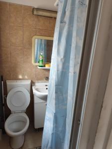 Un baño con inodoro, lavabo y espejo. en Casa Emy aproape de plaja 3 Papuci, en Constanţa