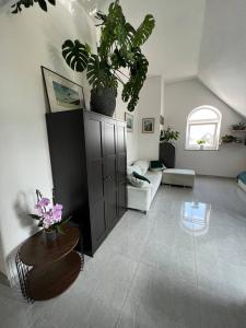 a living room with a plant on top of a cabinet at Jurgis Guest house in Kaunas