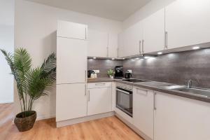 フライブルク・イム・ブライスガウにあるKm Style Apartments 5の白いキャビネットと鉢植えの植物が備わるキッチン