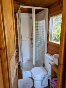 a bathroom with a toilet and a shower and a sink at Roulotte du Mas Rondole in Saillagouse