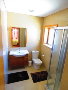 y baño con aseo, lavabo y ducha. en Casas Solar da Torre, en Navais