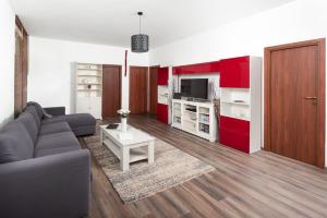 Televízia a/alebo spoločenská miestnosť v ubytovaní Zora's apartment