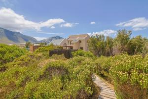una casa en medio de un campo de flores en Lily House, en Bettyʼs Bay