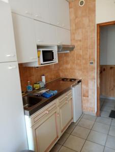 Kuchyň nebo kuchyňský kout v ubytování STUDIO 1 LUZ SAINT SAUVEUR 4 pers