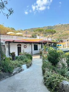 a house with a pathway in front of it at Casa Josefina in Sant'Angelo D'Ischia