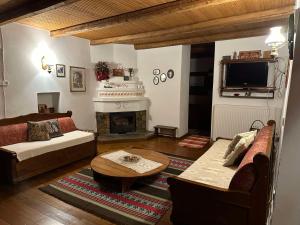 a living room with a couch and a fireplace at Το Ανώι in Palaios Panteleimonas
