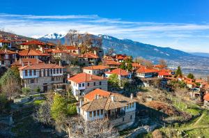 an aerial view of a village with houses and mountains at Το Ανώι in Palaios Panteleimonas