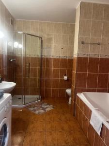 Kúpeľňa v ubytovaní Apartamenty Centrum