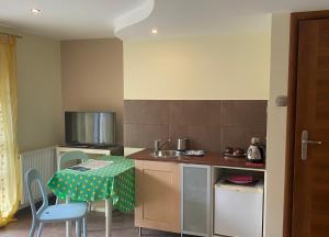 Kuchyňa alebo kuchynka v ubytovaní Willa Jagiellonka apartamenty w centrum, parking
